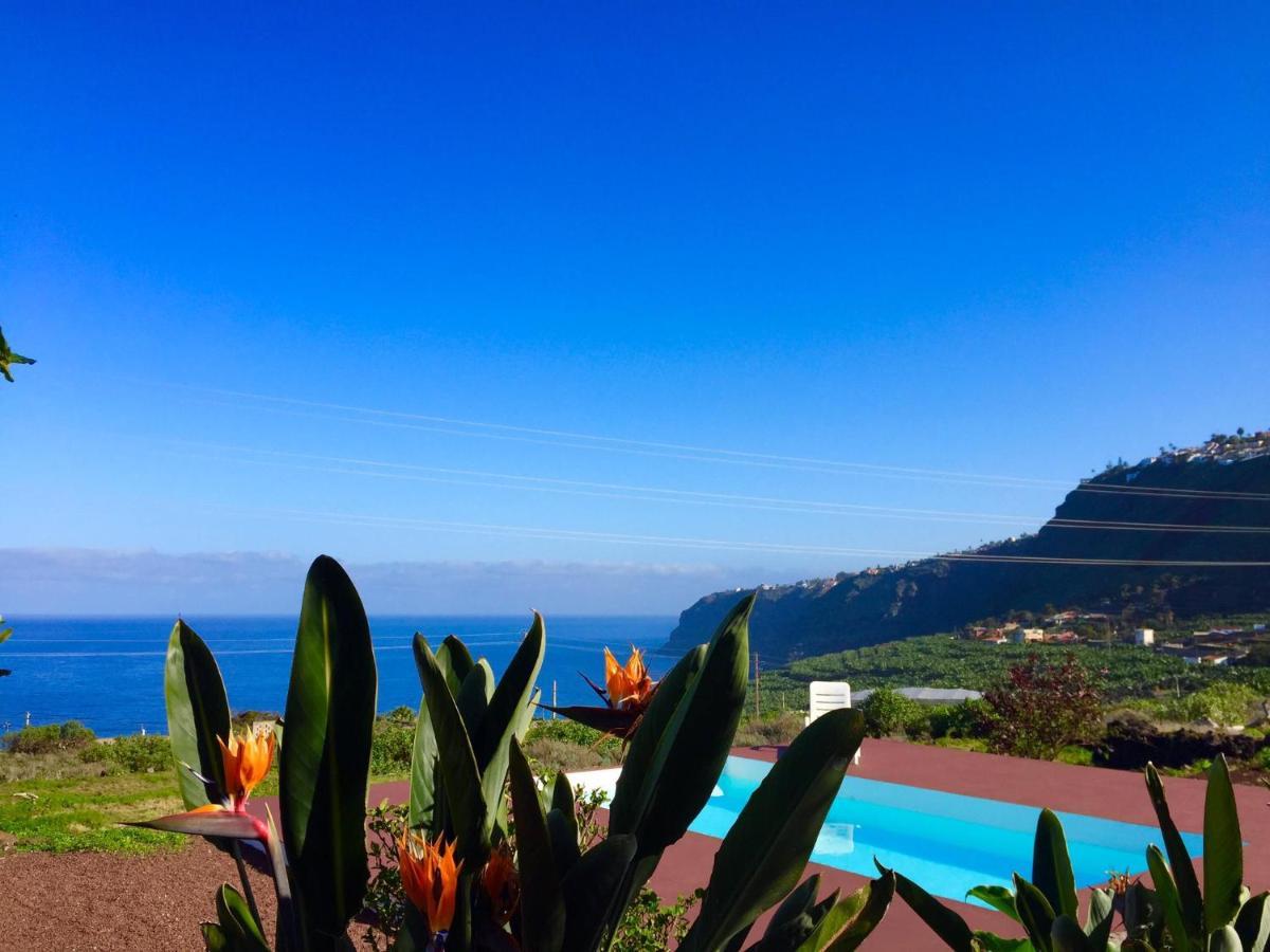 Dragos Del Mar , Espacio Natural La Orotava Ngoại thất bức ảnh