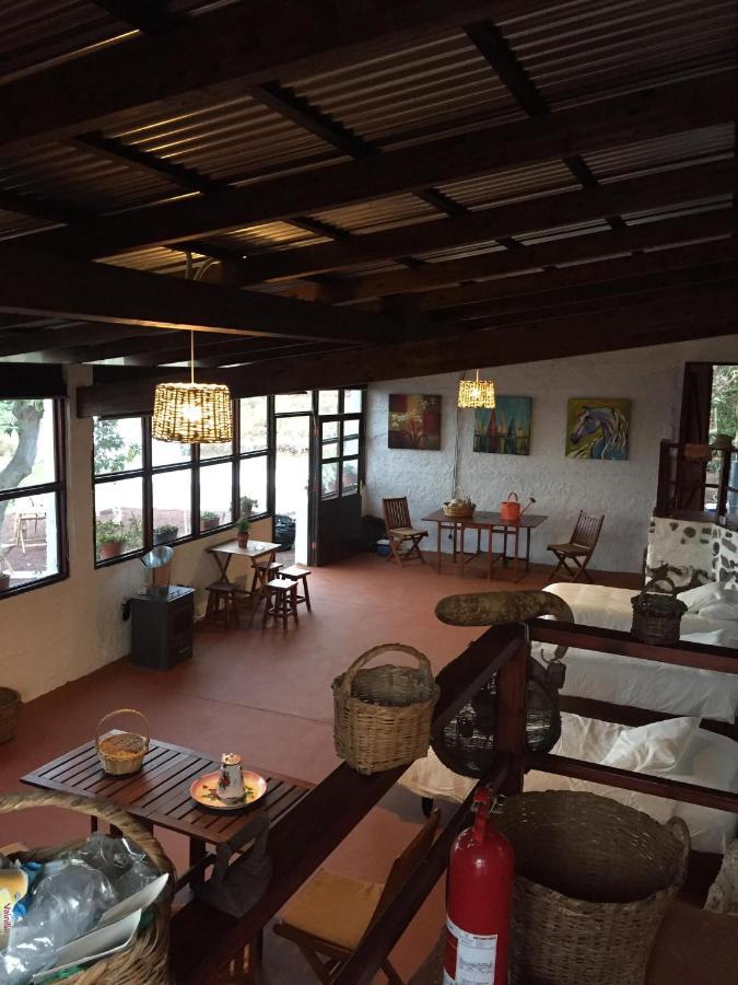 Dragos Del Mar , Espacio Natural La Orotava Ngoại thất bức ảnh