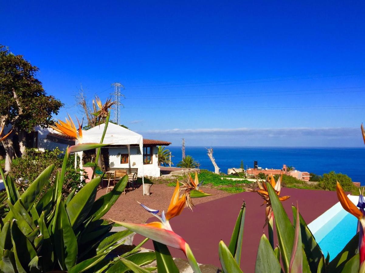 Dragos Del Mar , Espacio Natural La Orotava Ngoại thất bức ảnh
