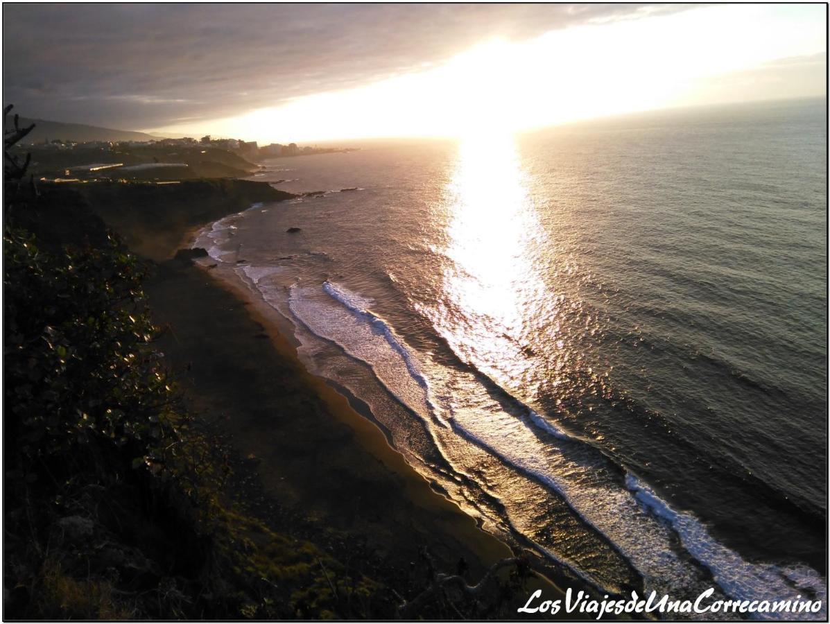 Dragos Del Mar , Espacio Natural La Orotava Ngoại thất bức ảnh