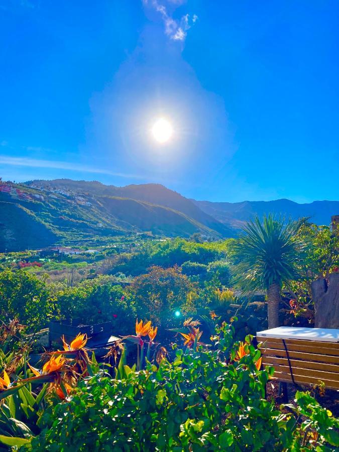 Dragos Del Mar , Espacio Natural La Orotava Ngoại thất bức ảnh