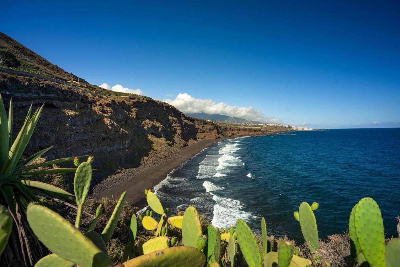 Dragos Del Mar , Espacio Natural La Orotava Ngoại thất bức ảnh